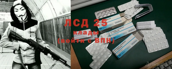 дживик Вязники