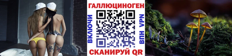 Псилоцибиновые грибы Psilocybine cubensis Партизанск